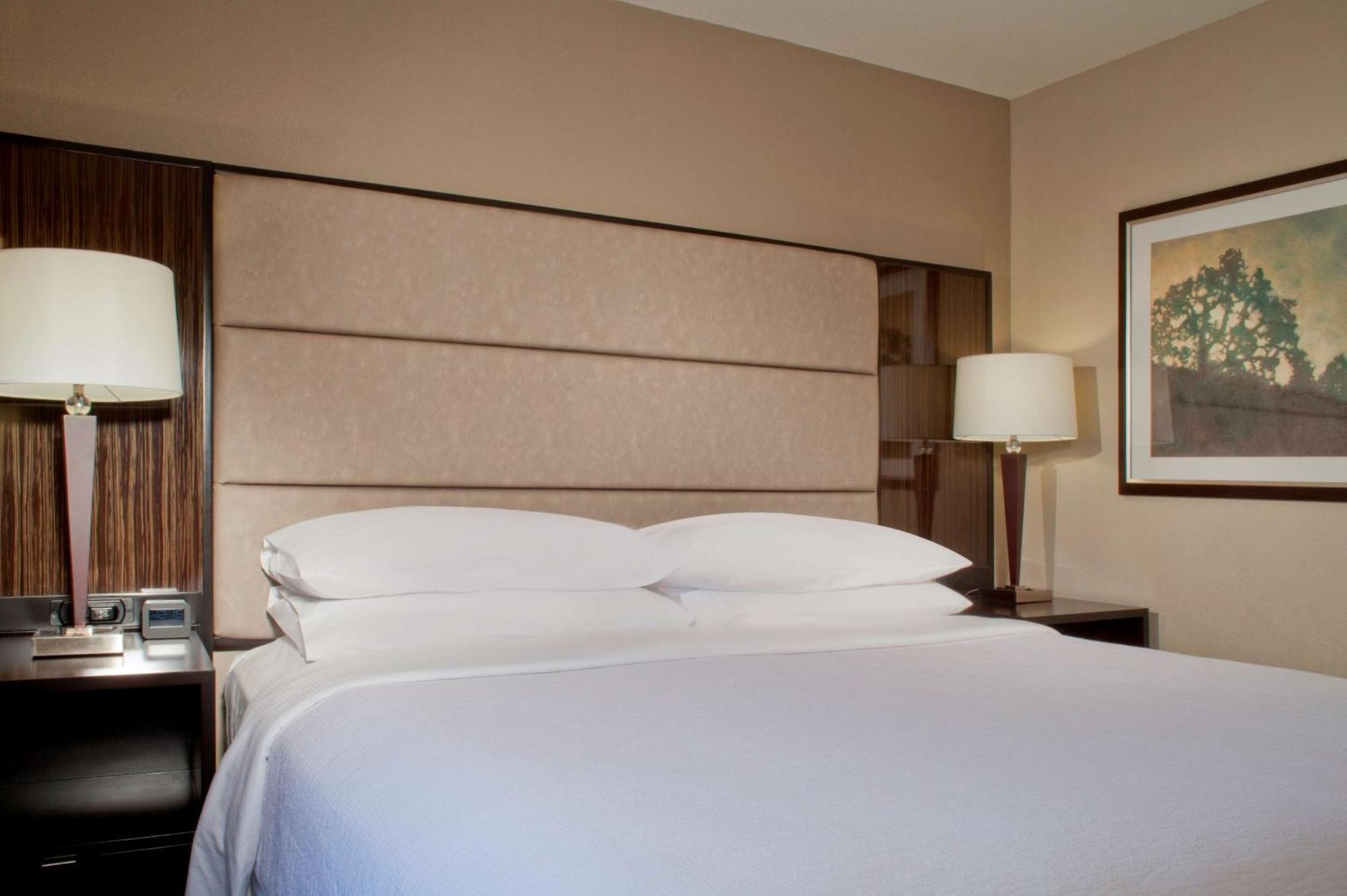 Embassy Suites By Hilton Houston Near The Galleria Экстерьер фото